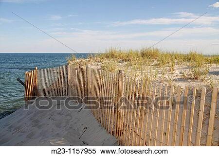 A new fence supports an ancient set of dunes, Long Beach Island, New Jersey, USA. View Large Photo Image Stock Photography - A new fence supports an ancient set of dunes, Long Beach Island, New Jersey, USA.. Fotosearch