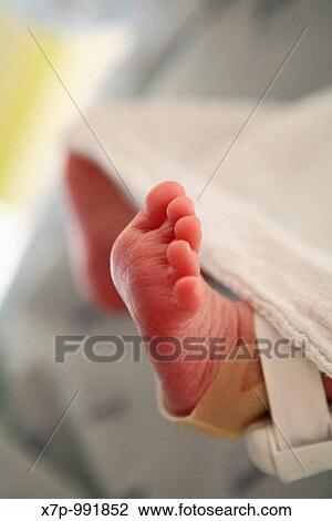 Stock Image - a newborn foot. Fotosearch
