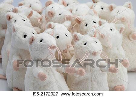 A number of human-like white mice acting as a group. View Large Photo Image Stock Photo - A number of human-like white mice acting as a group.. Fotosearch