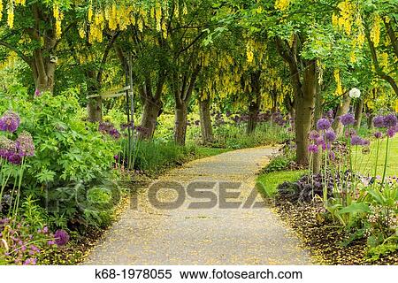 a path in the VanDusen Garden in Vancouver, BC, Canada. View Large Photo Image Stock Photography - a path in the VanDusen Garden in Vancouver, BC, Canada.. Fotosearch