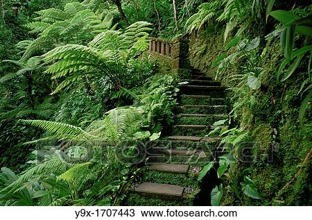 Stock Image - A path leading down a hill at the Begawan Giri resort in Ubud. Fotosearch