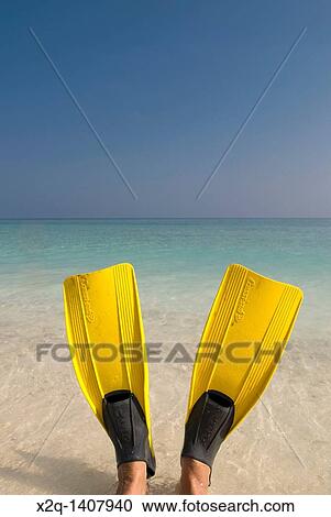 A person sitting in the ocean wearing Yellow flippers Maldives View Large Photo Image Stock Image - A person sitting in the ocean wearing Yellow flippers Maldives. Fotosearch