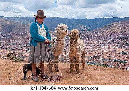 A peruvian lady in traditional dress with her llamas overlooking the city of Cusco, Peru, South America View Large Photo Image Picture - A peruvian lady in traditional dress with her llamas overlooking the city of Cusco, Peru, South America. Fotosearch