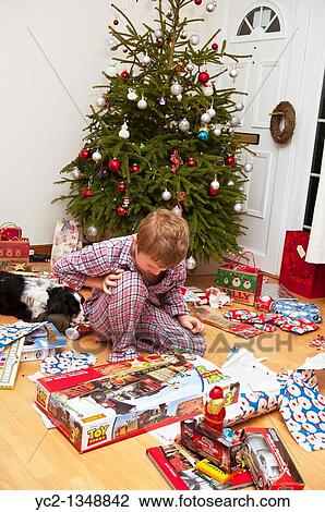 Stock Image - A picture of a seven year old boy opening christmas presents under the tree in the Uk. Fotosearch