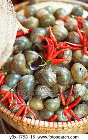 A pile of live snails with dry red chili in a woven basket waiting to be cooked View Large Photo Image Stock Photography - A pile of live snails with dry red chili in a woven basket waiting to be cooked. Fotosearch