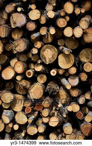 A pile of stacked logs sit in El Gastor, Cadiz province, Andalusia, Spain, April 25, 2011 View Large Photo Image Stock Photo - A pile of stacked logs sit in El Gastor, Cadiz province, Andalusia, Spain, April 25, 2011. Fotosearch