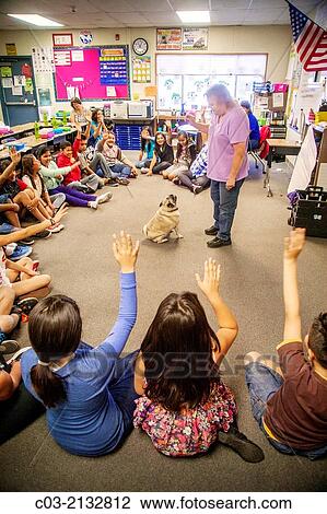 A predominantly Hispanic elementary school class in San Bernardino, CA, raises their hands to ask questions as they get a lesson in pet care from the owner of a chow dog. View Large Photo Image Stock Image - A predominantly Hispanic elementary school class in San Bernardino, CA, raises their hands to ask questions as they get a lesson in pet care from the owner of a chow dog.. Fotosearch
