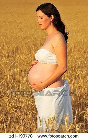 A pregnant woman in a field of wheat. View Large Photo Image Stock Image - A pregnant woman in a field of wheat.. Fotosearch