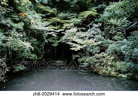 A quiet serene forest canopy over a small body of water at a temple garden in Kyoto. View Large Photo Image Picture - A quiet serene forest canopy over a small body of water at a temple garden in Kyoto.. Fotosearch