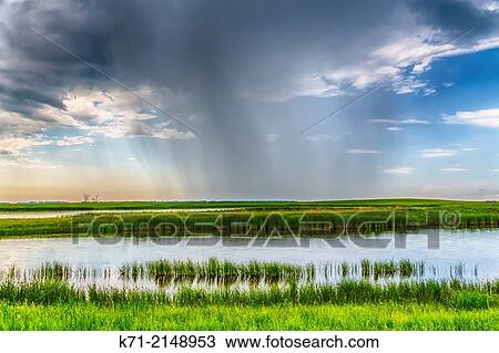 A rain shower on the prairie landscape near Langdon, North Dakota, USA. View Large Photo Image Stock Image - A rain shower on the prairie landscape near Langdon, North Dakota, USA.. Fotosearch