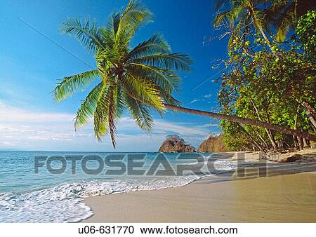 Stock Image - a rare white sand beach in Punta Leona on the Pacific Coast of Costa Rica. Fotosearch