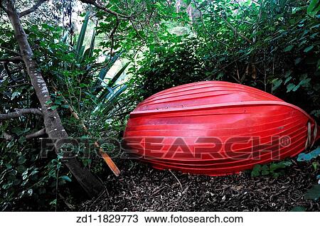 A red dingy boat in Waiheke Island NZ View Large Photo Image Stock Image - A red dingy boat in Waiheke Island NZ. Fotosearch