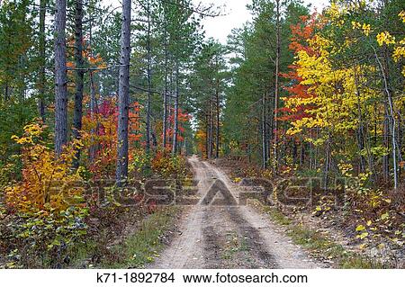 A road with fall foliage color through the deciduous forest of the Uppper Penninsula of Michigan, USA View Large Photo Image Picture - A road with fall foliage color through the deciduous forest of the Uppper Penninsula of Michigan, USA. Fotosearch
