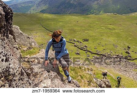 A rock scrambler staring the climb up the ridge. Rabbits Trod rock scramble on Grey Knotts in the Lake District, UK. View Large Photo Image Picture - A rock scrambler staring the climb up the ridge. Rabbits Trod rock scramble on Grey Knotts in the Lake District, UK.. Fotosearch