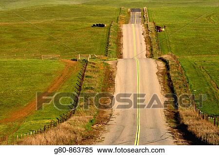 Stock Photography - A roller coaster of a road in the Central Valley of California. Fotosearch