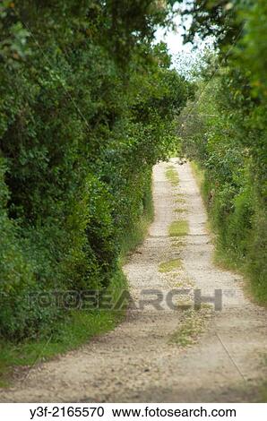 A rural country road, gravel and sand in the farmlands of the Western Cape Province, South Africa View Large Photo Image Stock Image - A rural country road, gravel and sand in the farmlands of the Western Cape Province, South Africa. Fotosearch