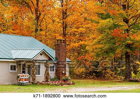 A rural Upper Penninsula home with fall foliage color, Michigan, USA View Large Photo Image Stock Image - A rural Upper Penninsula home with fall foliage color, Michigan, USA. Fotosearch