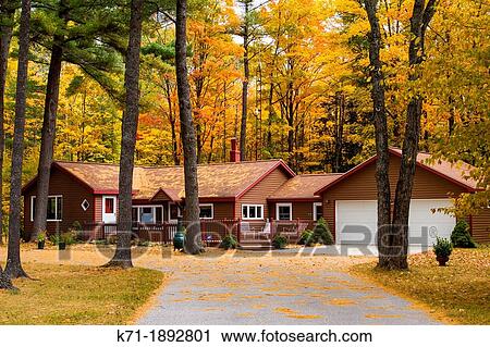 Stock Image - A rural Upper Penninsula home with fall foliage color, Michigan, USA. Fotosearch