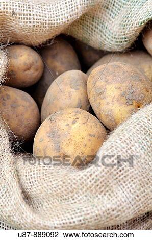 Stock Image - A Sack of Potatoes. Fotosearch