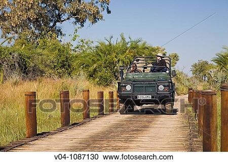 A safari vehicle driving over a wooden bridge in the Okavango Delta in Botswana, Africa View Large Photo Image Stock Image - A safari vehicle driving over a wooden bridge in the Okavango Delta in Botswana, Africa. Fotosearch