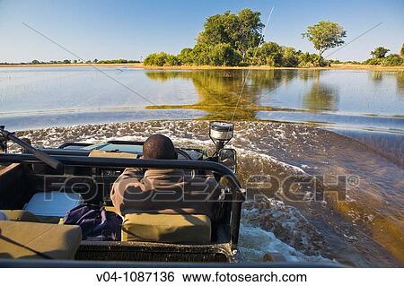 A safari vehicle driving through water in the Okavango Delta, Botswana, Africa View Large Photo Image Stock Photograph - A safari vehicle driving through water in the Okavango Delta, Botswana, Africa. Fotosearch