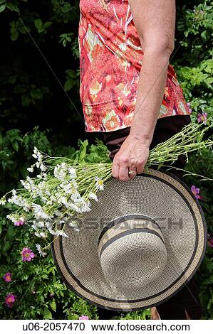 A senior woman carrying a hat and a bouquet of daisies View Large Photo Image Stock Image - A senior woman carrying a hat and a bouquet of daisies. Fotosearch