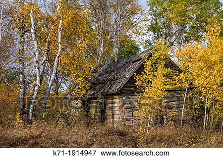 Stock Photo - A small abandoned wood cottage with fall foliage color in northern rural Manitoba, Canada. Fotosearch