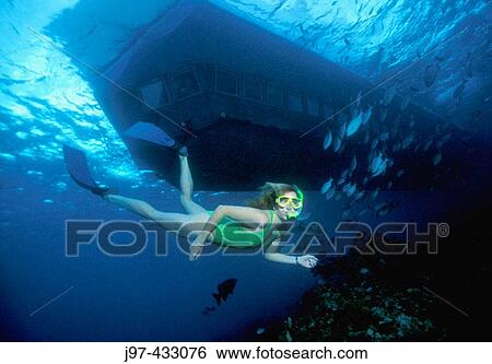 A snorkeler dives past the Atlantis Submarine while off a shallow reef South wall, Grand Cayman, Cayman Islands, Caribbean View Large Photo Image Stock Photograph - A snorkeler dives past the Atlantis Submarine while off a shallow reef South wall, Grand Cayman, Cayman Islands, Caribbean. Fotosearch