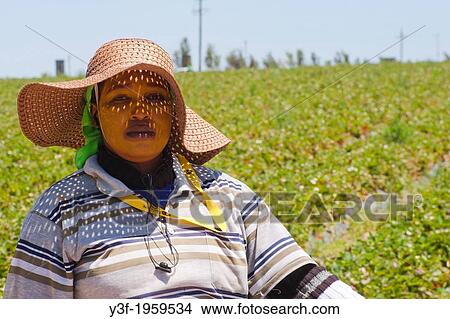 A strawberry picker takes a break from harvesting strawberries. Note the sun-protecting clay on her face. View Large Photo Image Picture - A strawberry picker takes a break from harvesting strawberries. Note the sun-protecting clay on her face.. Fotosearch