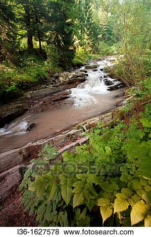 A stream in the Beskid Slaski mountains View Large Photo Image Stock Photo - A stream in the Beskid Slaski mountains. Fotosearch