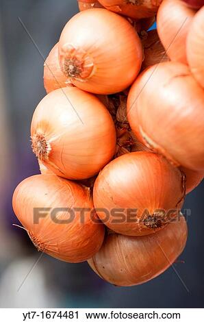 A string of French onions close up View Large Photo Image Stock Image - A string of French onions close up. Fotosearch