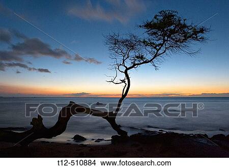 Picture - A sunset on the Big Island of Hawaii. Fotosearch