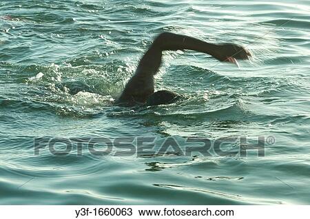 A Swimmer excersizes in the early morning in the tidal pool at Dalebrooke, Cape Town, South Africa View Large Photo Image Stock Image - A Swimmer excersizes in the early morning in the tidal pool at Dalebrooke, Cape Town, South Africa. Fotosearch