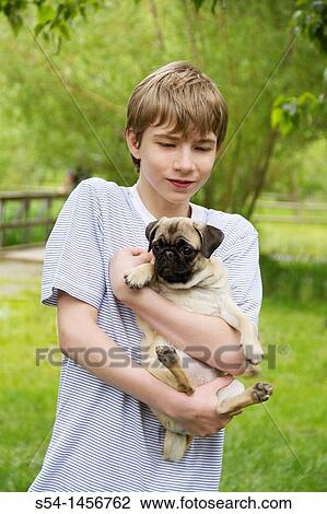 A teen holds a pug puppy View Large Photo Image Stock Image - A teen holds a pug puppy. Fotosearch