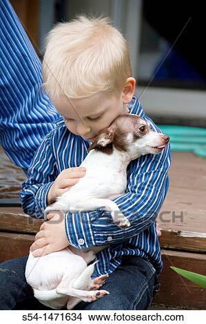 Picture - A three-year-old caucasian boy holding a chihuahua.. Fotosearch
