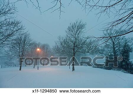 A tree lined avenue, Aberystwyth Wales UK in the snow, December 2010 View Large Photo Image Stock Image - A tree lined avenue, Aberystwyth Wales UK in the snow, December 2010. Fotosearch