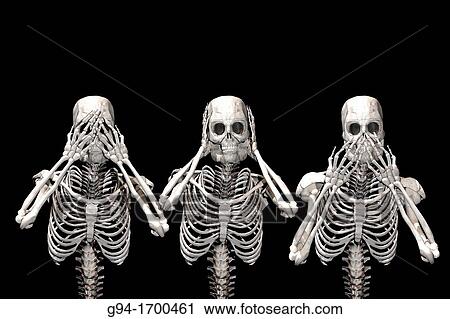 A trio of skeletons see no evil, hear no evil, speak no evil View Large Photo Image Stock Image - A trio of skeletons see no evil, hear no evil, speak no evil. Fotosearch