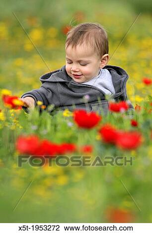 A two year old toddler in a field of spring flowers. View Large Photo Image Stock Image - A two year old toddler in a field of spring flowers.. Fotosearch
