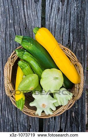 A variety of cucurbits and squash View Large Photo Image Stock Photo - A variety of cucurbits and squash. Fotosearch