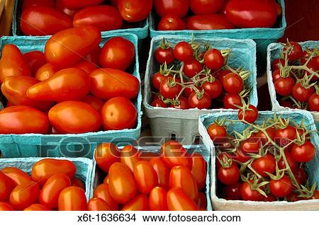 A variety of small quart and pint containers of tomatoes for sale at a farmer's market View Large Photo Image Picture - A variety of small quart and pint containers of tomatoes for sale at a farmer's market. Fotosearch