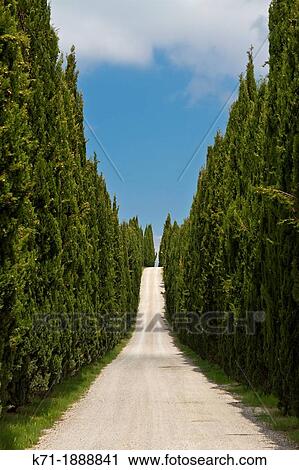 A view of the rural Tuscan countryside in Tuscany, Italy View Large Photo Image Stock Image - A view of the rural Tuscan countryside in Tuscany, Italy. Fotosearch