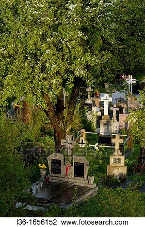 A villiage cemetery Poland View Large Photo Image Stock Image - A villiage cemetery Poland. Fotosearch