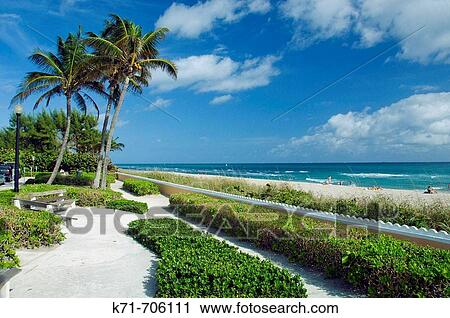 A West Palm Beach oceanside park along South Ocean Blvd., Florida, USA, 2008 View Large Photo Image Stock Image - A West Palm Beach oceanside park along South Ocean Blvd., Florida, USA, 2008. Fotosearch