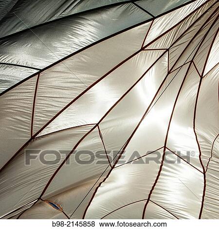 Stock Photo - A White Silk Parachute looks like an insects wing as it is backlit by the sun.. Fotosearch
