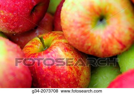 A Whole Bunch View Large Photo Image Stock Photo - A Whole Bunch. Fotosearch