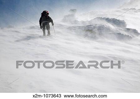 A winter hiker makes his way up the Air Line Trail in extreme weather conditions during the winter months in the White Mountains, New Hampshire USA View Large Photo Image Stock Image - A winter hiker makes his way up the Air Line Trail in extreme weather conditions during the winter months in the White Mountains, New Hampshire USA. Fotosearch