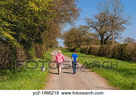 A woman and her son walking the dog down a country lane in Sotterley, Suffolk, England, Britain, Uk. View Large Photo Image Stock Photo - A woman and her son walking the dog down a country lane in Sotterley, Suffolk, England, Britain, Uk.. Fotosearch