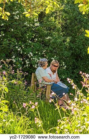 A woman in her 30's talks to her mother in law in her 70's in a Uk cottage garden View Large Photo Image Stock Image - A woman in her 30's talks to her mother in law in her 70's in a Uk cottage garden. Fotosearch