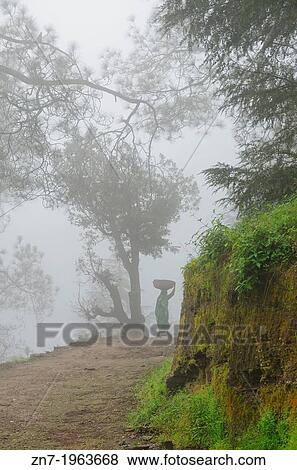 A woman on mountain road, Himalayan range, Almora, India. View Large Photo Image Stock Photo - A woman on mountain road, Himalayan range, Almora, India.. Fotosearch