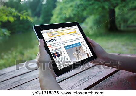 Stock Photography - A woman reading Guardian online newspaper from an iPad at outdoor park. Fotosearch